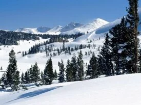Tioga Pass, Yosemite National Par.jpg