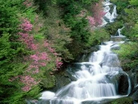 Tochigi Prefecture, Nikko, Japan -  - I.jpg