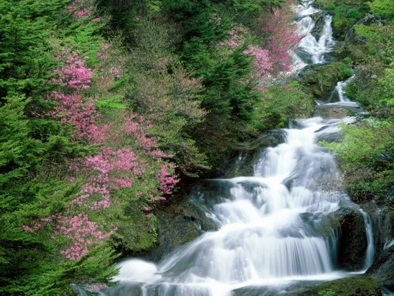 Tochigi Prefecture, Nikko, Japan -  - I.jpg (click to view)