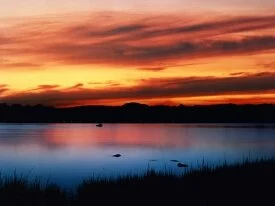Tranquility, Old Saybrook, Connecticut - 1600x12.jpg