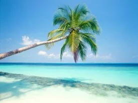 Tropical Island, Maldives -  - ID 32890.jpg