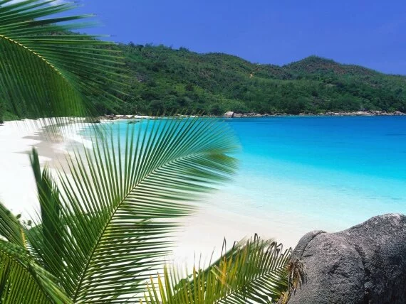 Tropical Retreat, Seychelles -  - ID 44.jpg (click to view)