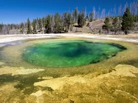 Upper Geyser Basin, Yellowstone National Park, W.jpg