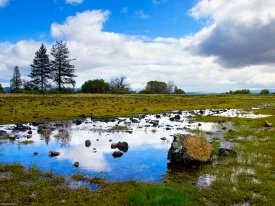 Vista Landscape Wallpaper
