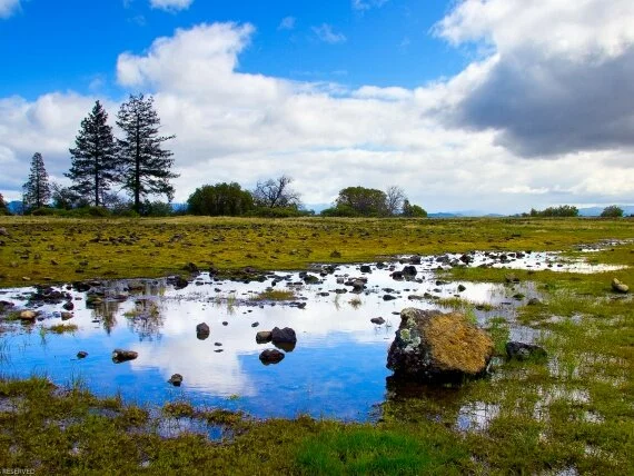 Vista Landscape Wallpaper (click to view)