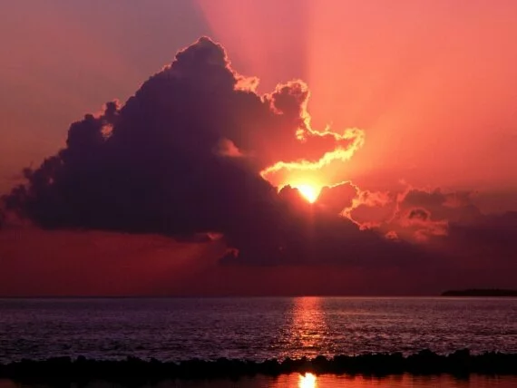 Waning Rays, Florida -  - ID 25289.jpg (click to view)