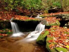 Wesser Creek in Autumn, Nantahala National Fores.jpg