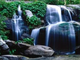 Whiskey Falls, Sierra National Forest, Californi.jpg