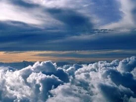 Wild Blue Yonder -  - ID 20128.jpg