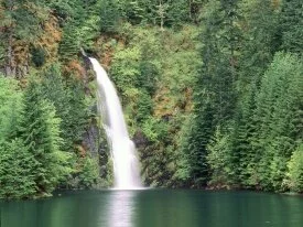 Willamette National Forest, Oregon -  -.jpg