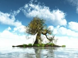 windows 7 3d wallpaper herb island 6ff