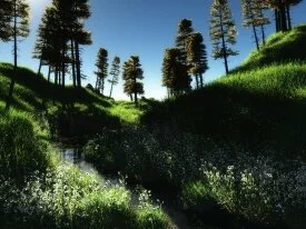 windows 7 3d wallpaper the leading river spring 4  widescreen