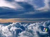 Windows xp