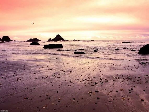 Windows_Vista_Wallpaper.jpg (click to view)
