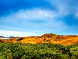 Windows_Vista_Wallpapers_-11.jpg