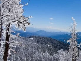 Windows_Vista_Wallpapers_-20.jpg