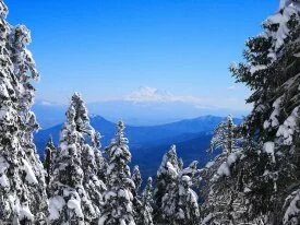 Windows_Vista_Wallpapers_-21.jpg