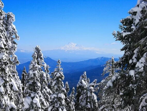 Windows_Vista_Wallpapers_-21.jpg (click to view)