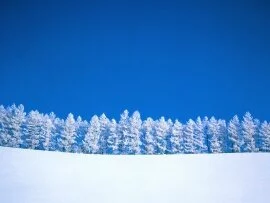 Winter Clearing -  - ID .jpg (click to view)