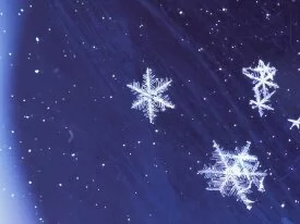 Winter Magic -  - ID 435.jpg