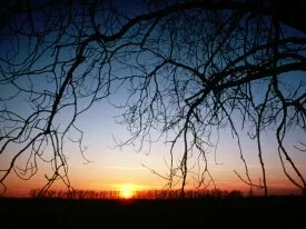 Winter Sunset -  - ID 18430 - PREMIUM.jpg