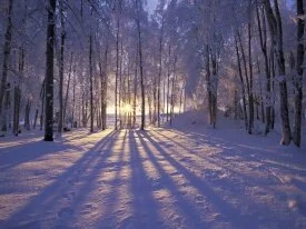 Winter Sunset, Alaska - .jpg