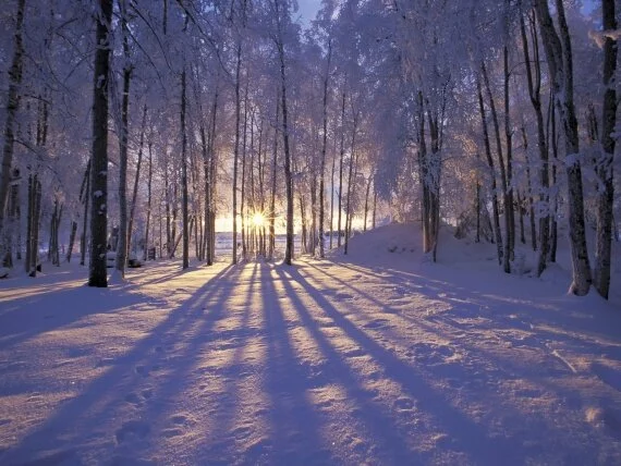 Winter Sunset, Alaska - .jpg (click to view)