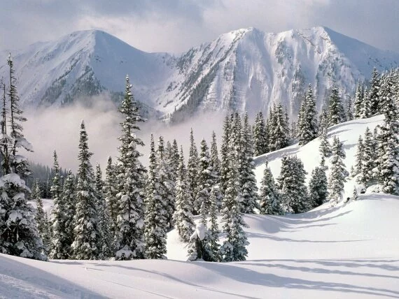 Winter Wonderland, British Columb.jpg (click to view)