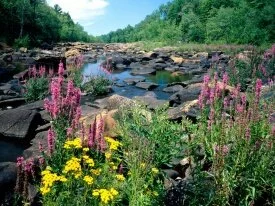 Wisconsin River, Ice Age National Scientific Res.jpg
