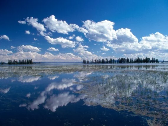 Yellowstone Lake, Yellowstone National Park, Wyo.jpg (click to view)