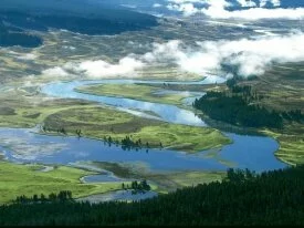 Yellowstone River in Hayden Valley, Yellowstone .jpg