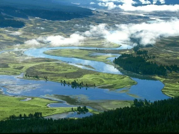 Yellowstone River in Hayden Valley, Yellowstone .jpg (click to view)