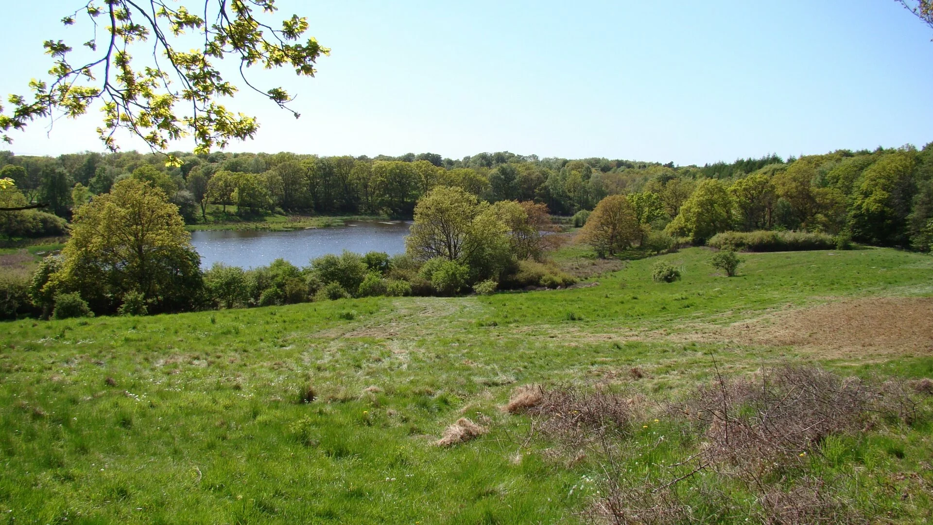 also Kullaberg