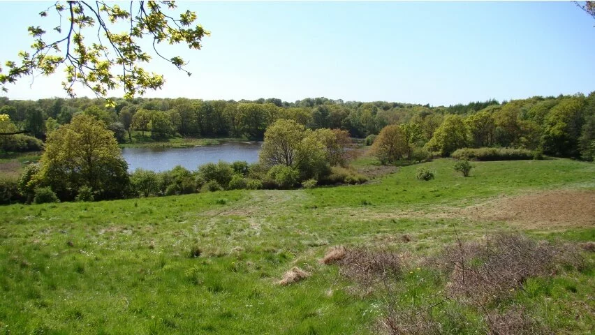 also Kullaberg