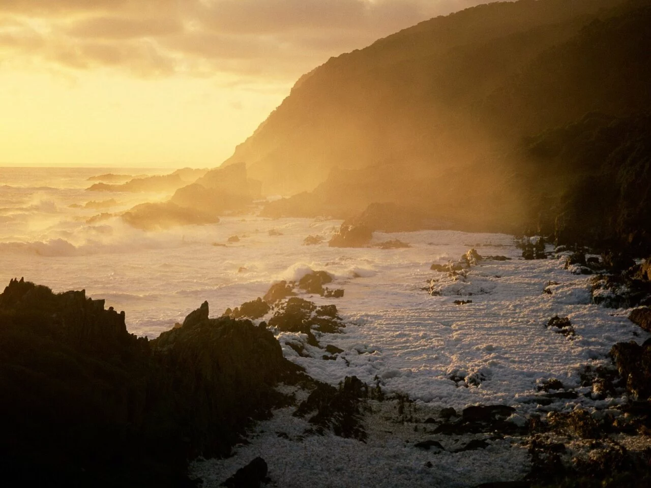 Cape of Good Hope, South Africa -  - ID.jpg