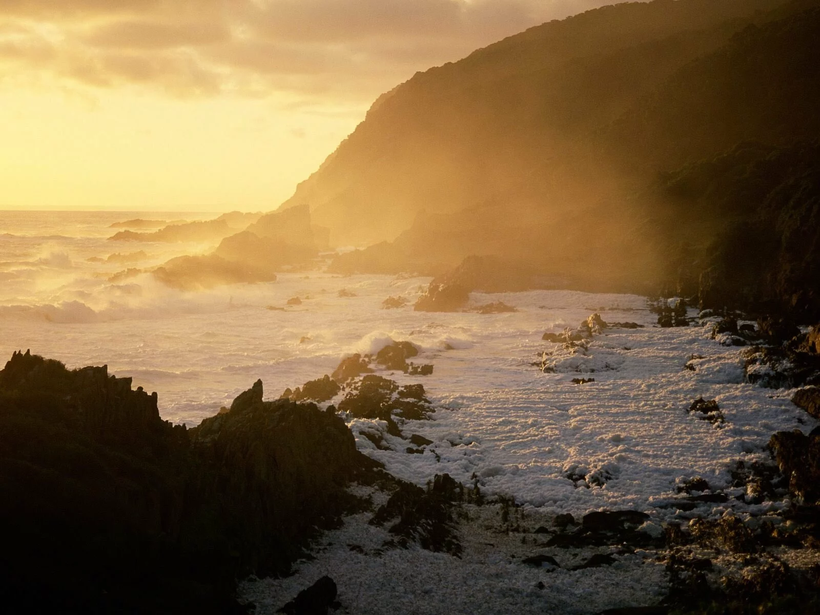 Cape of Good Hope, South Africa -  - ID.jpg