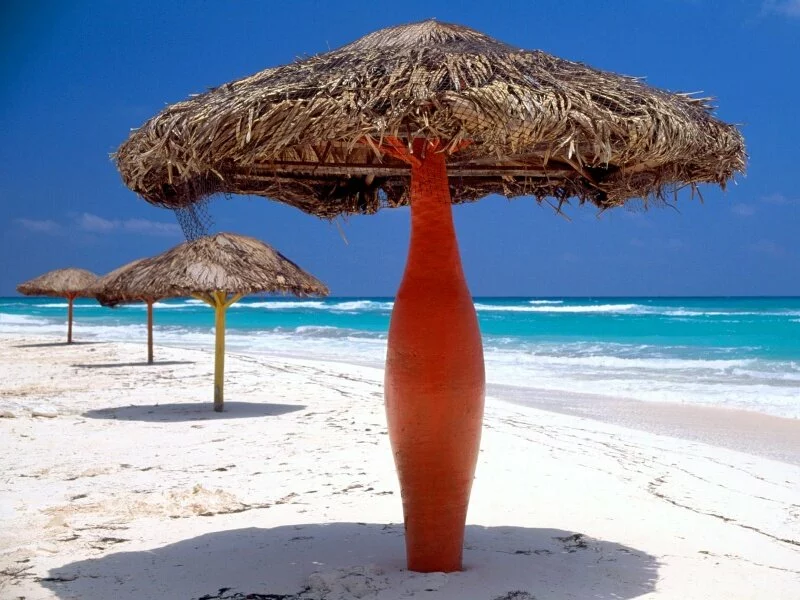 Cayo Largo, Cuba -  - ID 42357.jpg