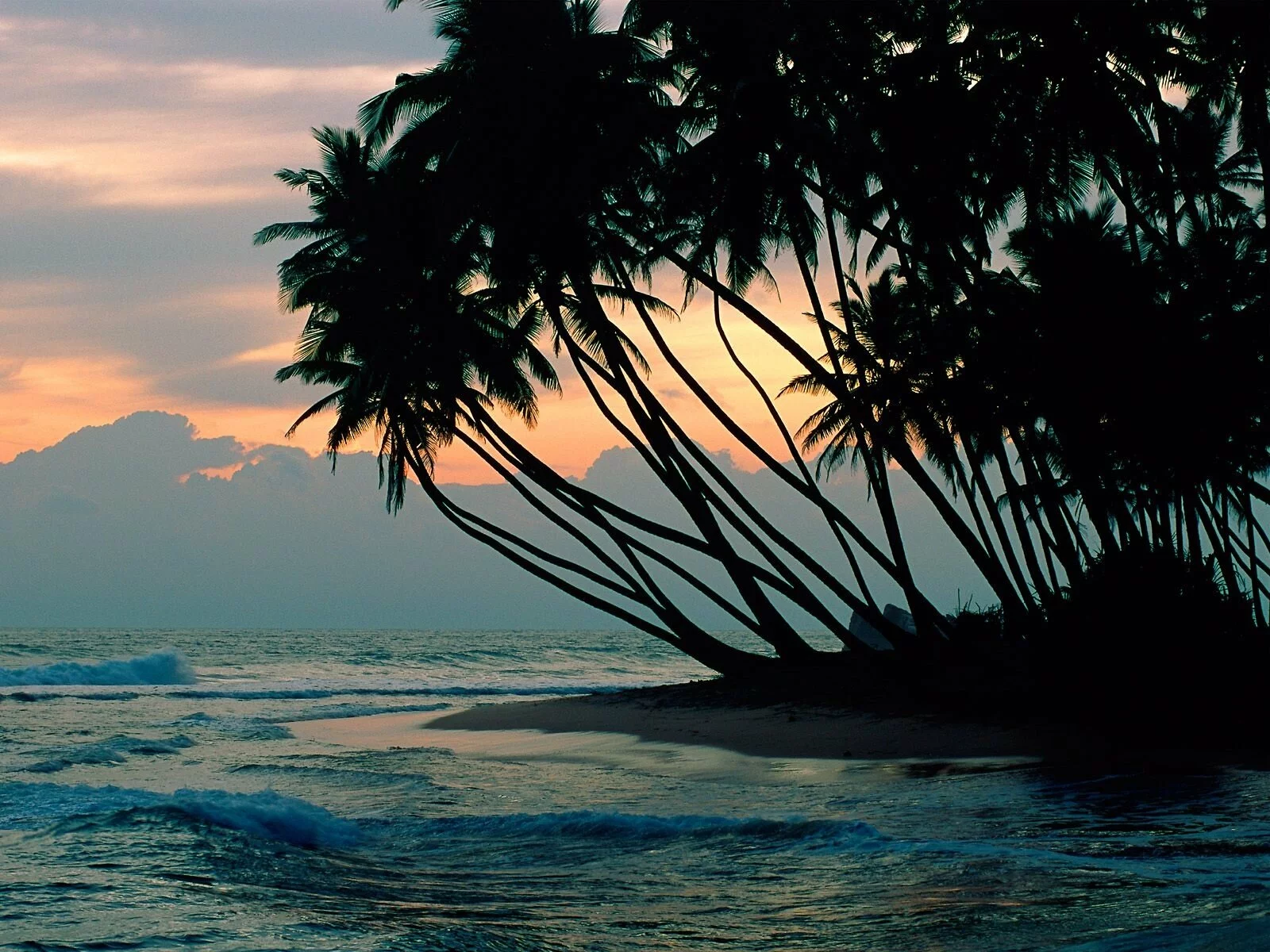 Colombo, Sri Lanka -  - ID 44857.jpg