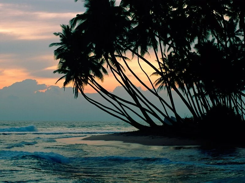 Colombo, Sri Lanka -  - ID 44857.jpg