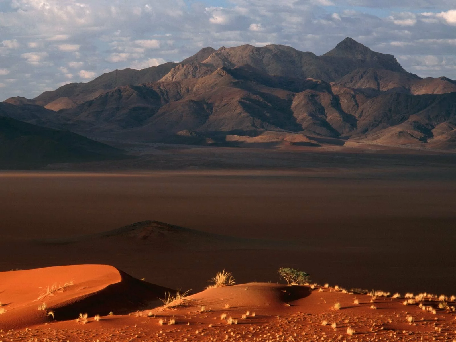 Dawn, Namib Desert, Namibia -  - ID 257.jpg