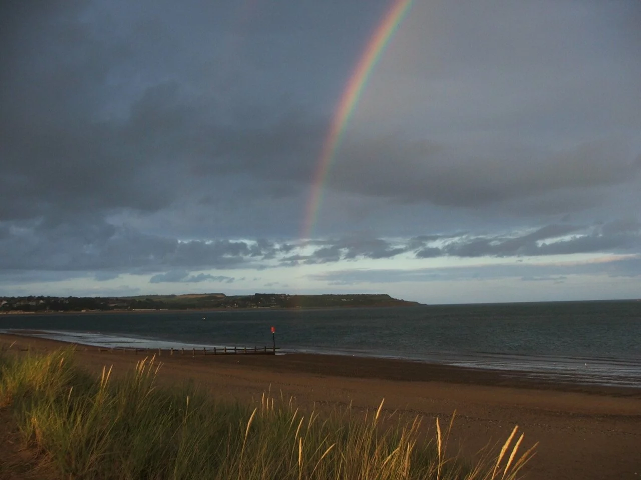 devon (4).jpg