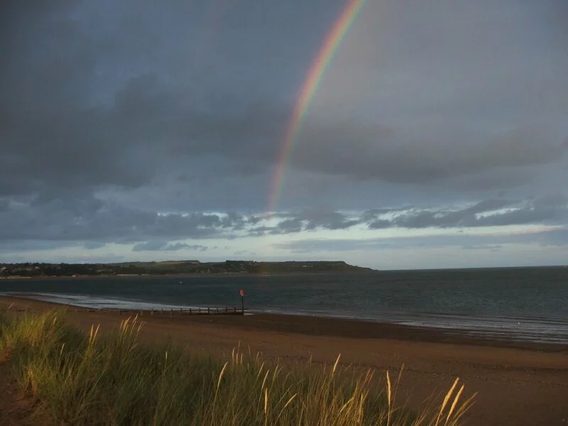 devon (4).jpg