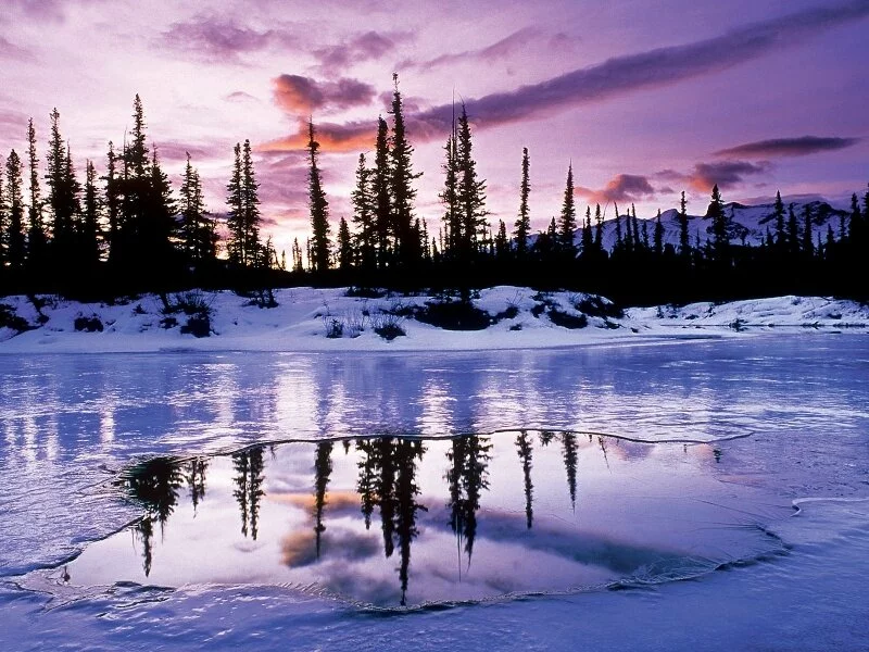 Evening Freeze -  - ID 3.jpg