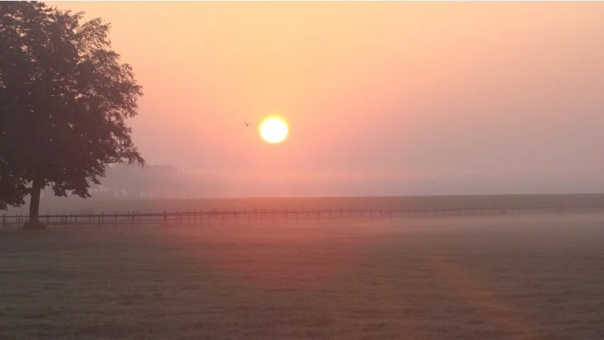 Flight of Icarus very foggy 1080p
