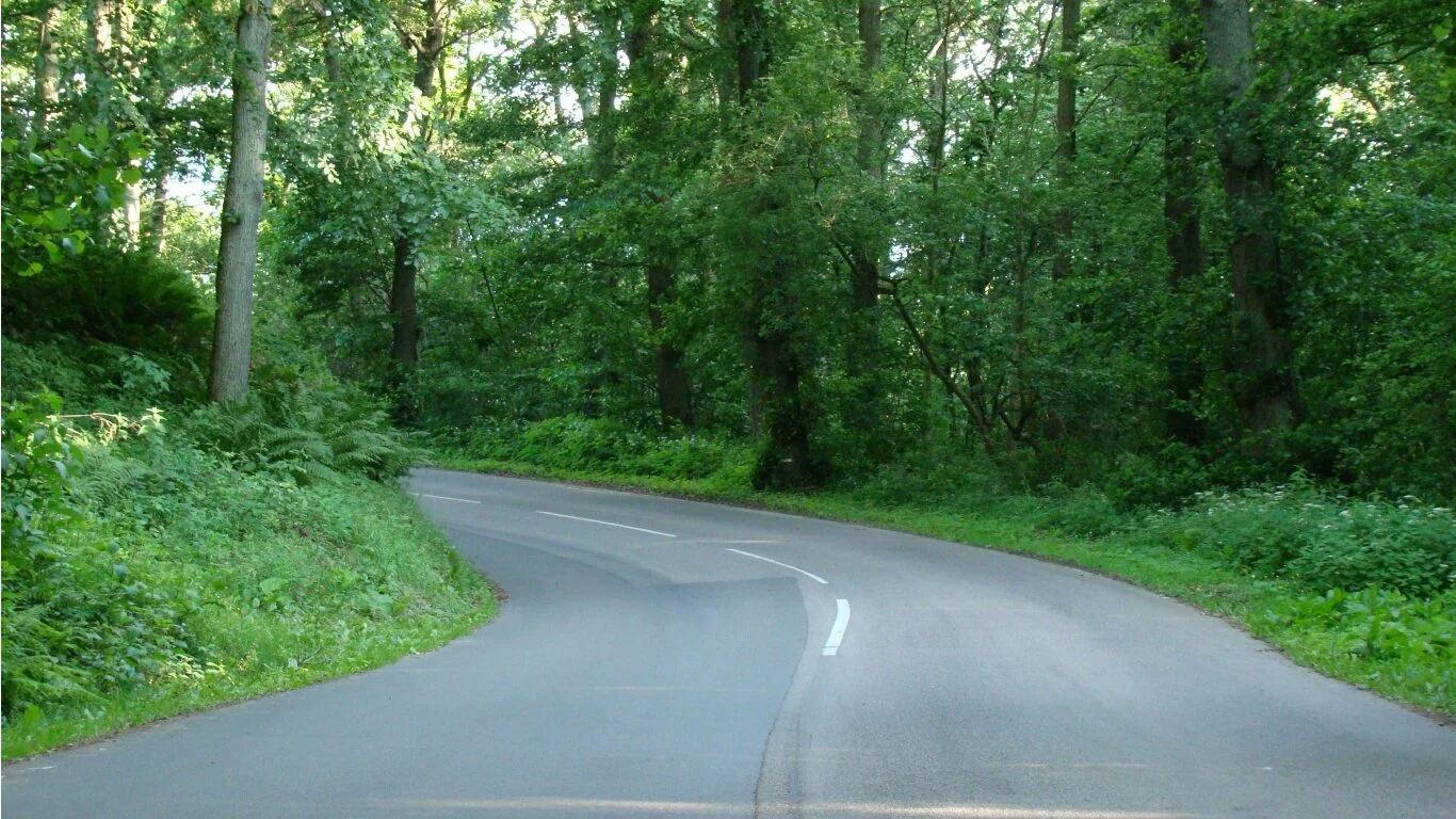 Forest way HD