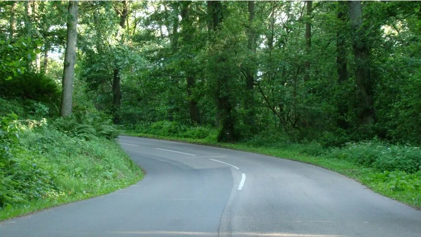 Forest way HD