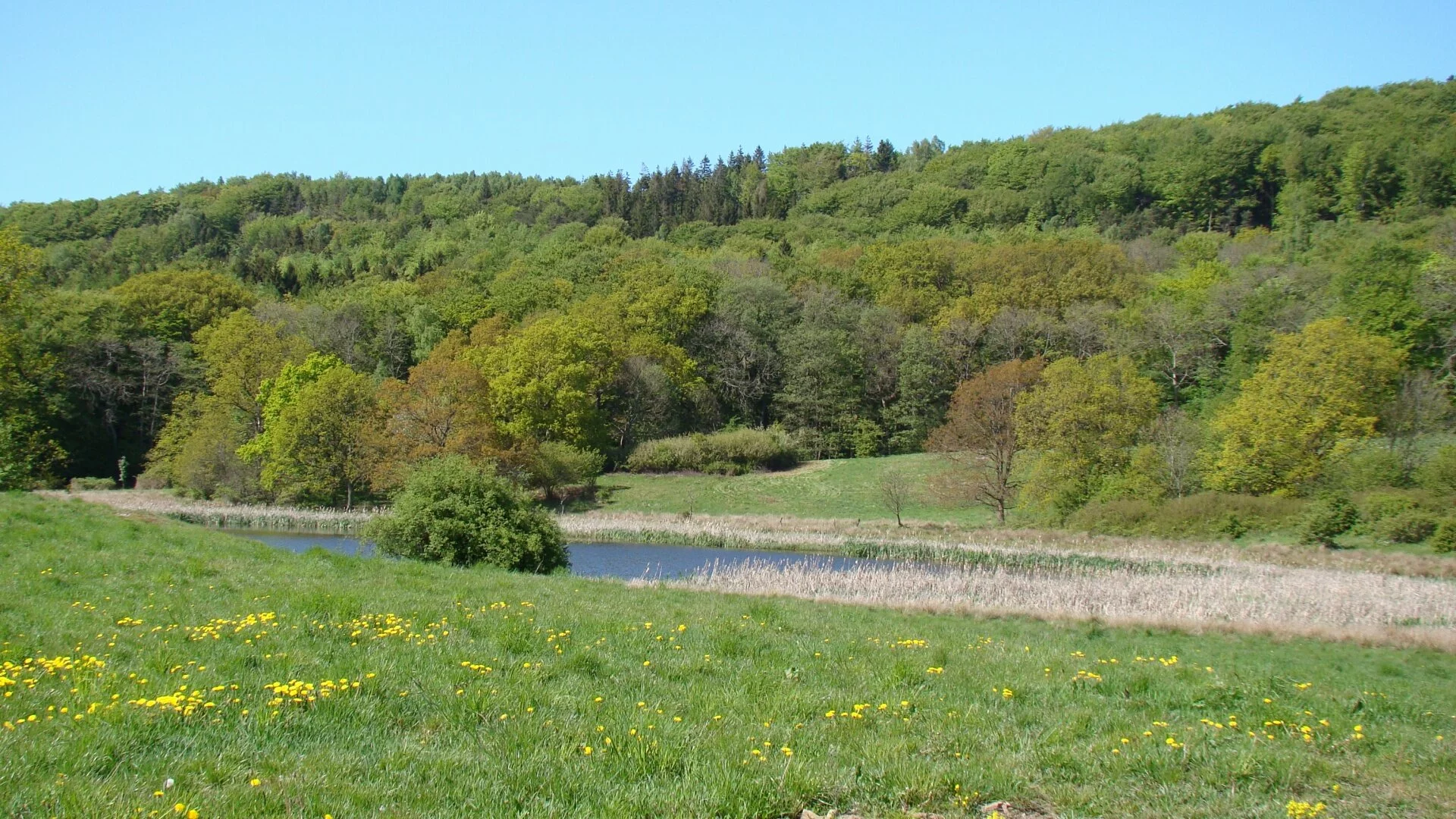 Kullaberg HD