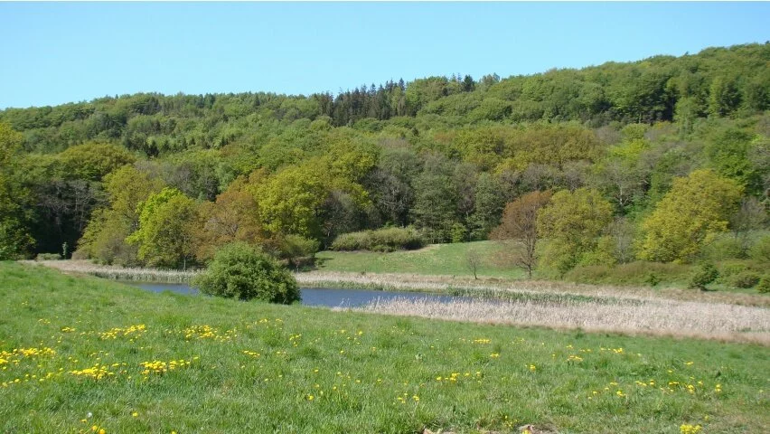 Kullaberg HD