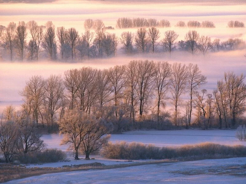 Misty Morn -  - ID 20864.jpg