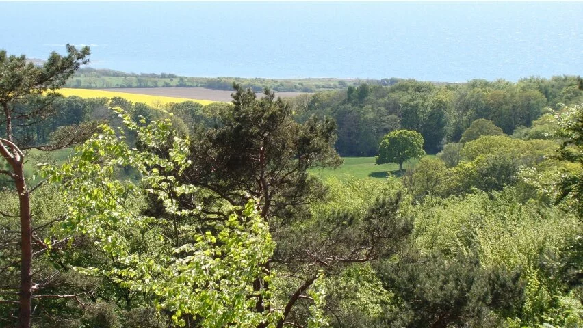 On Kullaberg